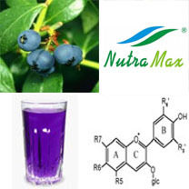 Blueberry Extract Juice 65 Brix