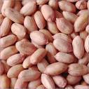 Groundnut Seeds