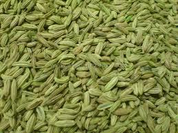 Fennel Seeds