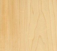 Maple Plywood