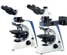 Polarization Microscope XJP 300