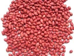 Red Peanut Kernels