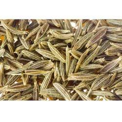 Cumin Seeds