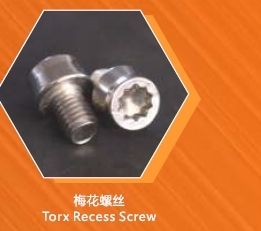 Tork Recess Screw