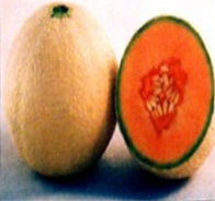 Muskmelon Seed