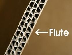 E Flute Boxes