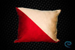 Cushions Covers