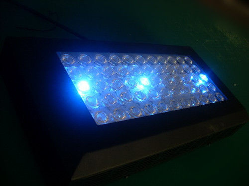 Blue and White LED Lights 120w