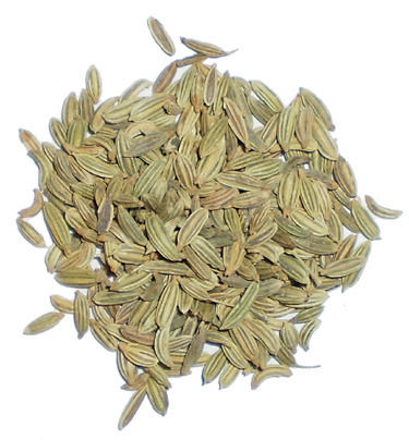 Fennel Seeds