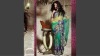 Shaded Net Fancy Embroidery Saree