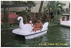 Swan Shape Two Seater Pedal Boat