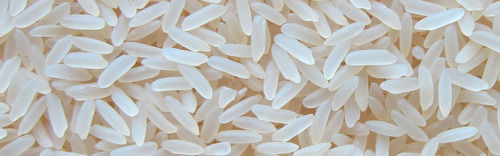 Steam Rice - Long Grain Variety, Steamed to Perfection and Original Indian Produce