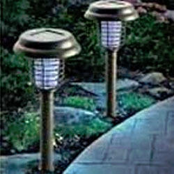 Solar Garden Lights