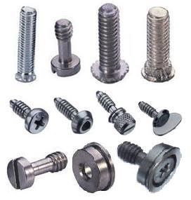 Captive Screw