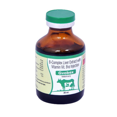 Exporter of Vitamin B Complex Injections from Mehsana by GEEVET REMEDIES