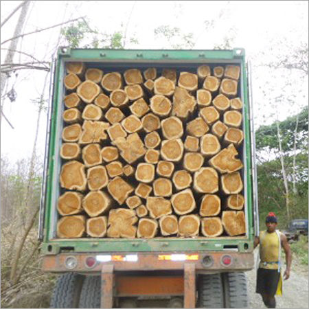 Hardwood Timber Round Logs
