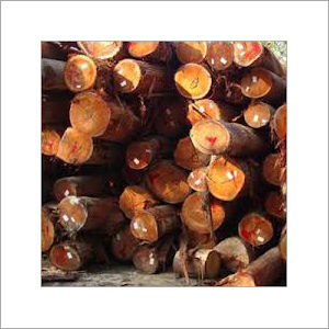 Meranti Wood Logs