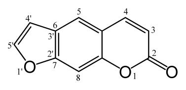 Psoralene IP