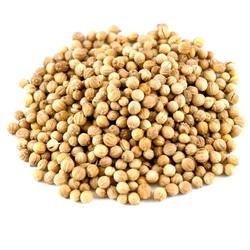 Coriander Seeds