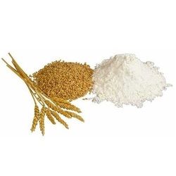 Wheat Flour