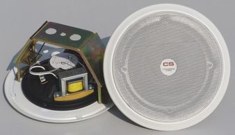 Ceiling Speaker