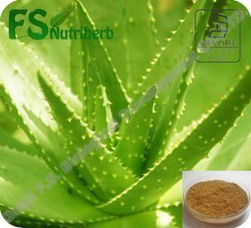 Natural Aloe Extract