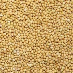 Steel Yellow Millets