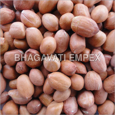 Ground Nut Seeds