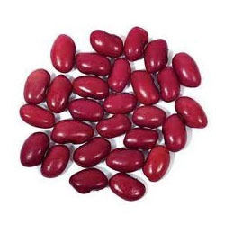 Kidney Beans (Phaseolus Vulgaris)