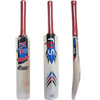 Blaster English Willow Bat