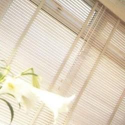 Horizontal Venetian Blinds