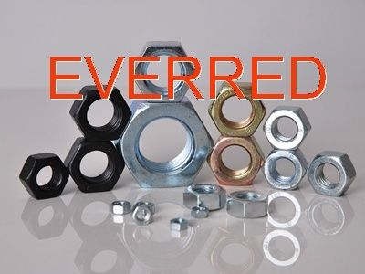 Everred Hex Nuts