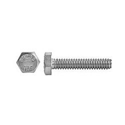 Stainless Hex Tap Bolts