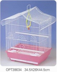 Birds Cage