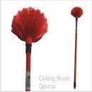 Special Ceiling Brushes