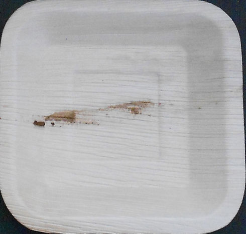 Square Palm Leaf Plates