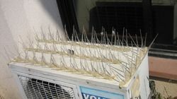 Bird Spikes Security Fencing