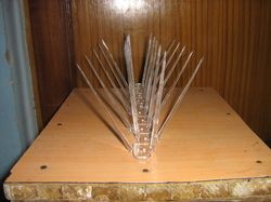 Polycarbonate Bird Spikes