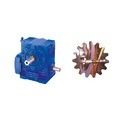 Worm Gear Box