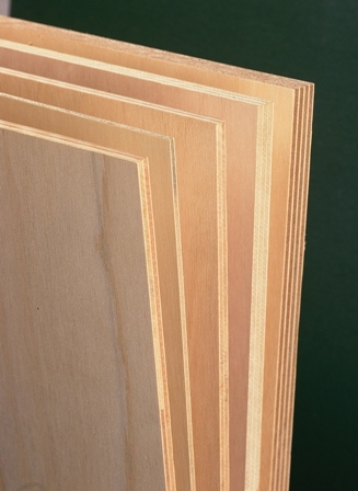 Eucalyptus Core Veneer For Plywood