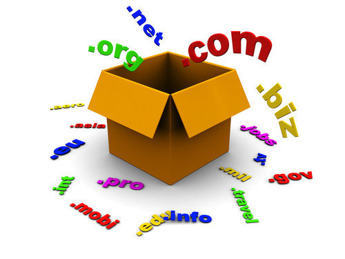 Domain And Hosting Services By Tozzu Technology