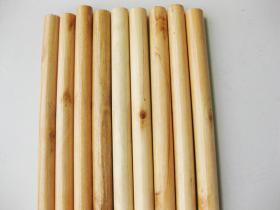 Varnished Wooden Broom Handle (100 X 2.4cm)