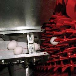 Automatic Egg Collector Application: Industrial