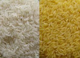  PRASAMJYOT चावल