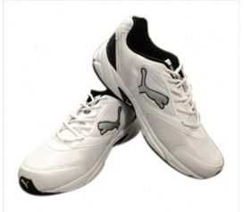 Sports Shoes