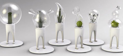 Star Tribe Innovative Flower Vase