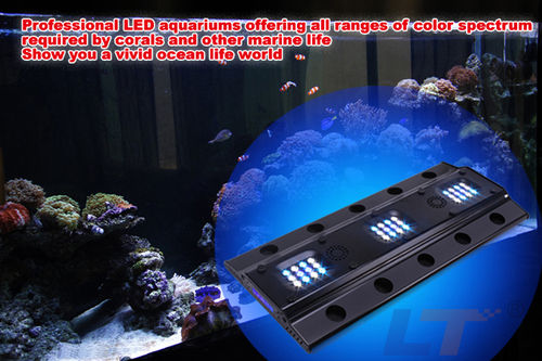 LED Aquarium Lighting