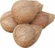 Sam Coconut