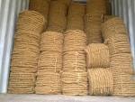 Coir Fibre