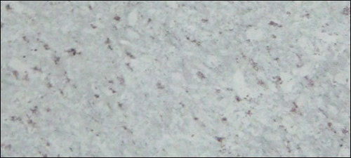 Emerald White Granite